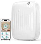 Ziweo Waterless Essential Oil Diffuser | Whole Home

