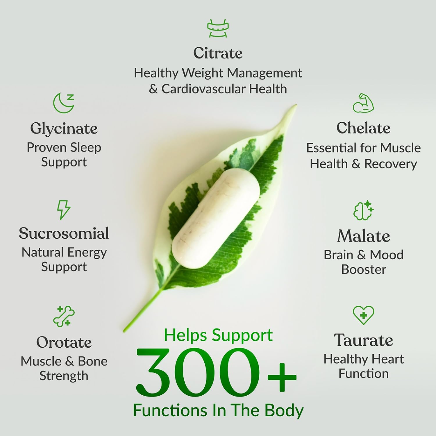 BIOptimizers Magnesium Breakthrough - Sleep & Cognitive Support

