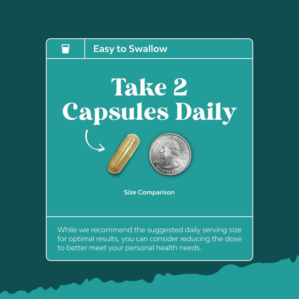 NAC Liver Support Supplement with Milk Thistle - Detox

