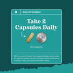 NAC Liver Support Supplement with Milk Thistle - Detox

