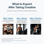 Creatine HMB by Transparent Labs - Enhanced Strength

