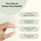 Synbiotic 365 Probiotic Supplement for Digestive Health

