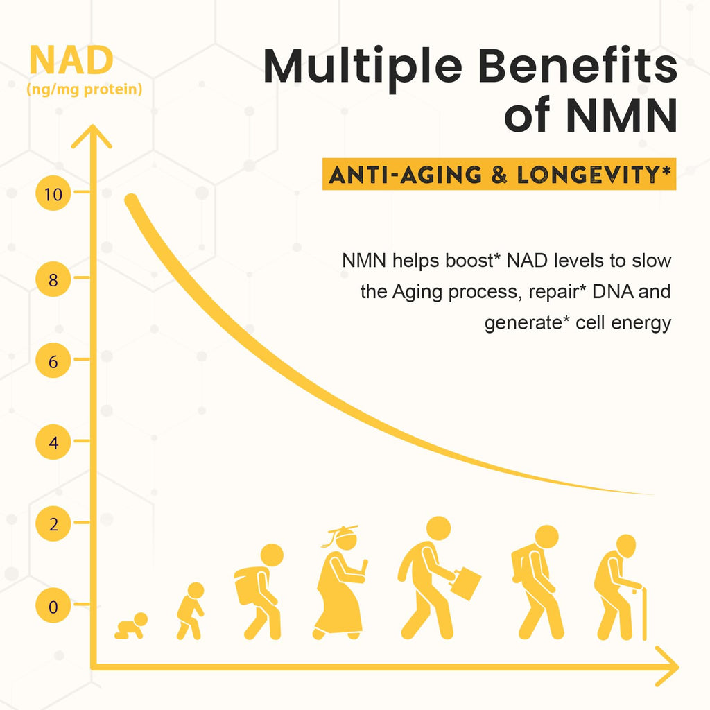 Enprotess Sublingual NMN 500mg Supplement | NAD Support


