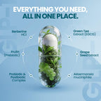 GLP-1 Weight Management Supplement | Appetite Support

