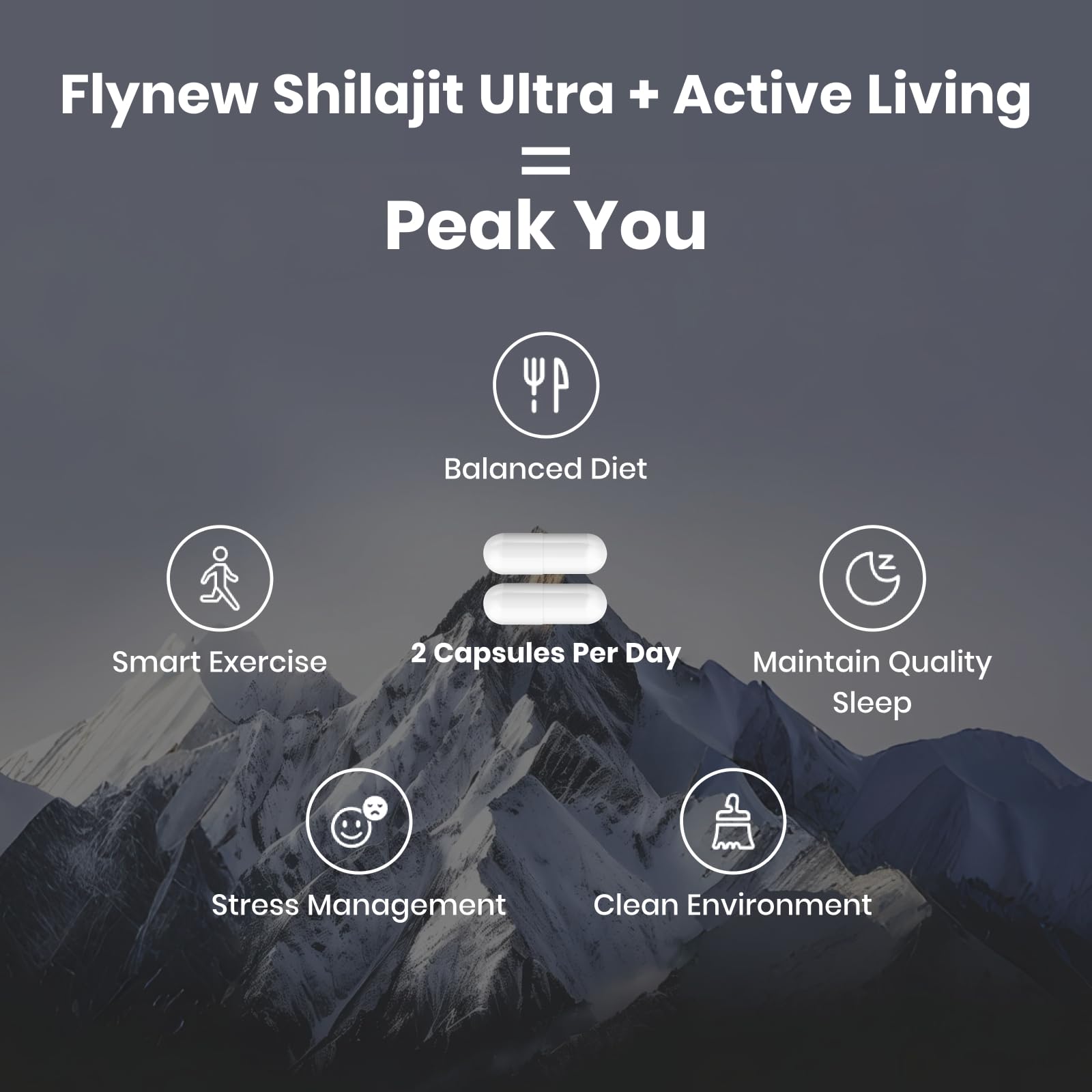 Shilajit Fulvic Acid Supplement by Flynew

