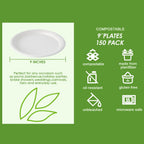 Vplus Bagasse Paper Plates – Compostable Heavy-Duty

