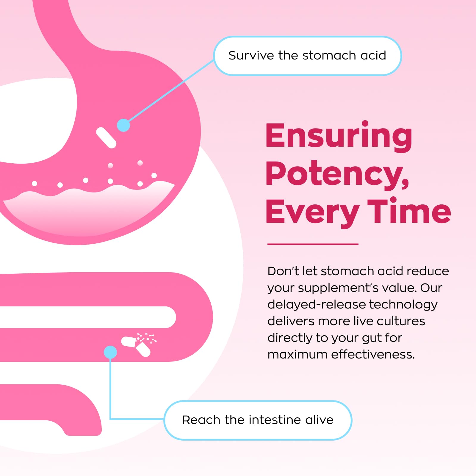 Gynable Vaginal Probiotics for Women - pH Balance

