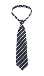 Scotchgard Fabric Water Shield Spray

