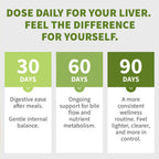 Milk Thistle Liver Support with NAC – Vegan Capsules

