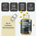 WeightWorld Creatine Monohydrate Supplement | Performance

