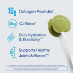 Vital Proteins Matcha Collagen Peptides Powder Supplement

