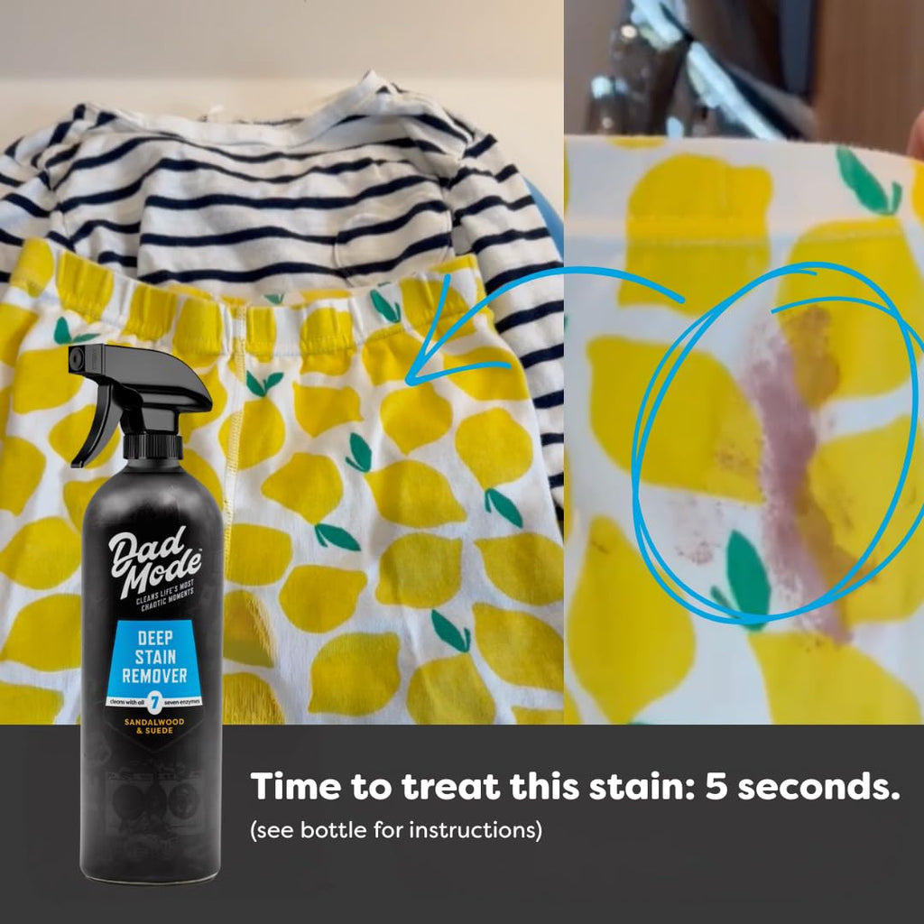 DadMode Enzyme Deep Stain Remover

