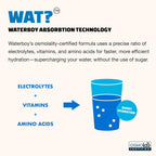 Waterboy Weekend Recovery Electrolyte Powder Drink Mix

