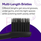 BURST Replacement Heads for Original Sonic Toothbrush

