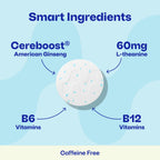 Neuro Memory & Focus Gum | Caffeine-Free Nootropic

