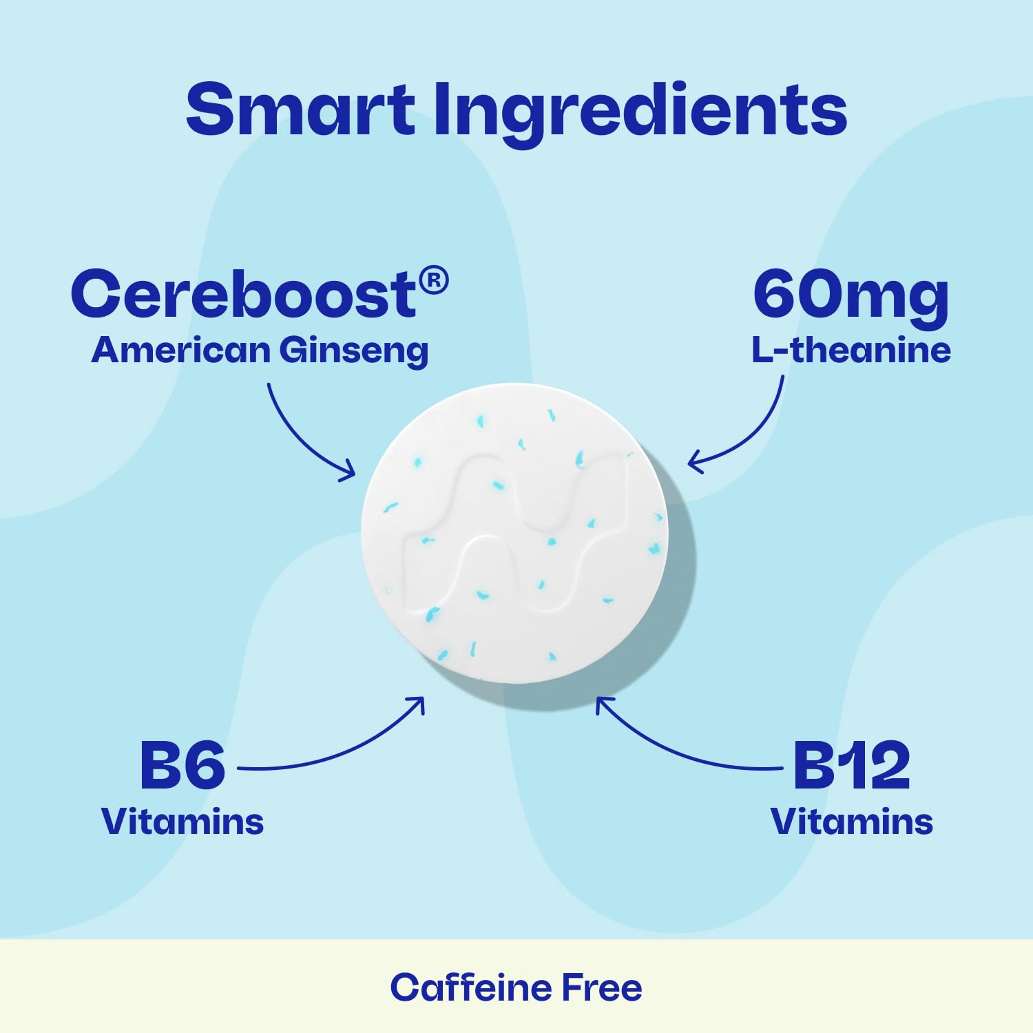 Neuro Memory & Focus Gum | Caffeine-Free Nootropic

