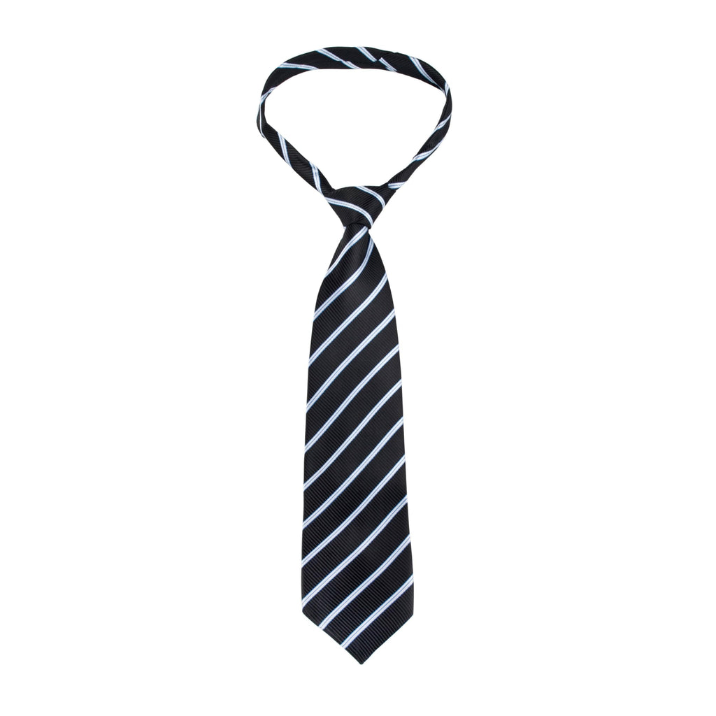 Scotchgard Fabric Water Shield Spray

