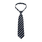 Scotchgard Fabric Water Shield Spray

