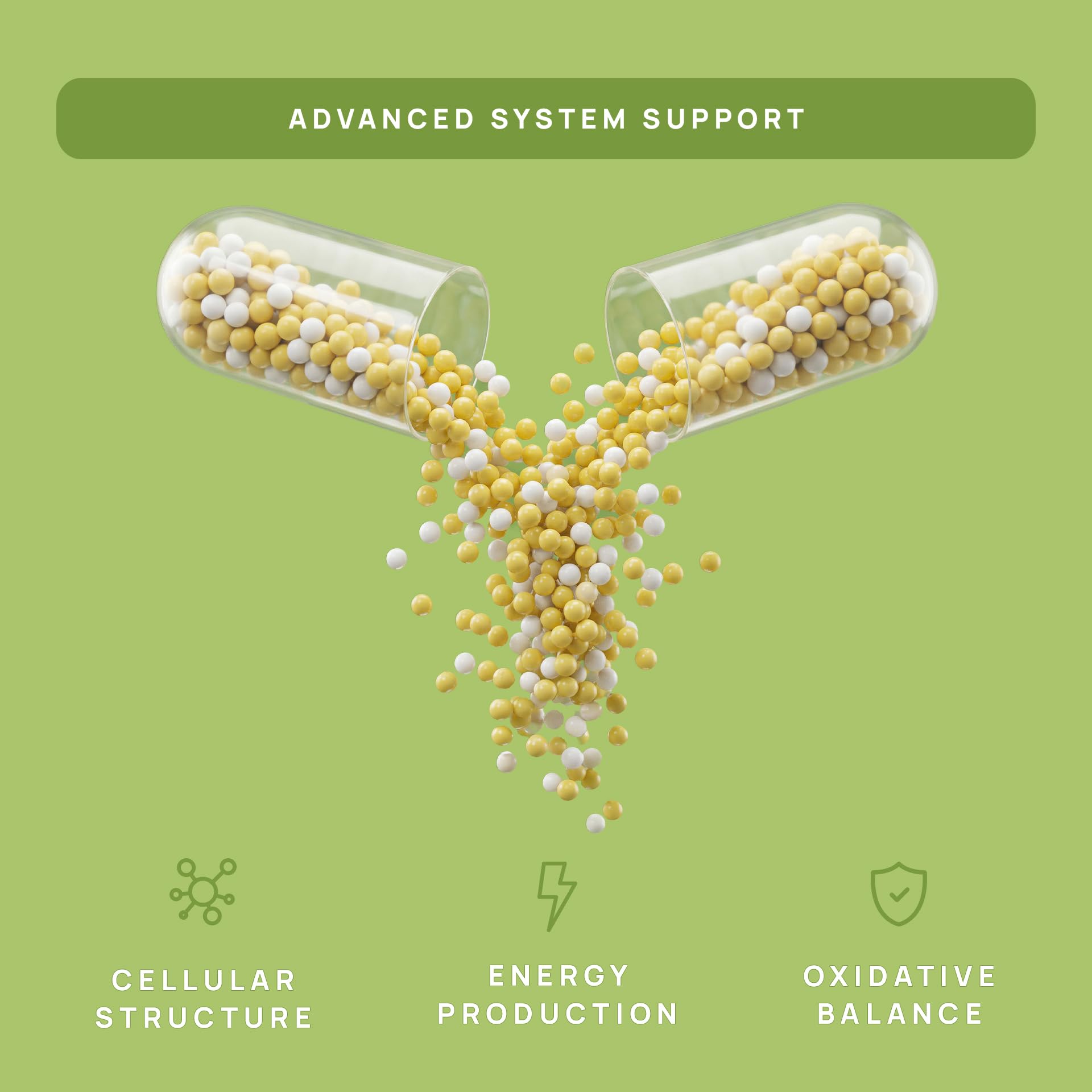 C15:0 Pentadecanoic Acid Supplement for Cellular Health

