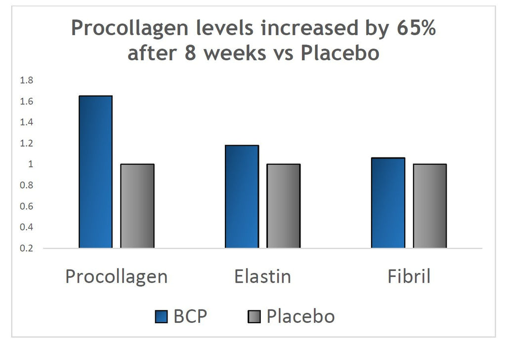 Verisol Collagen Bioactive Peptides – Collagen Powder

