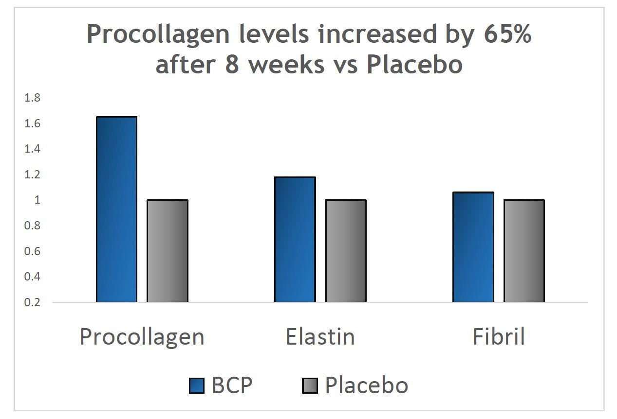 Verisol Collagen Bioactive Peptides – Collagen Powder

