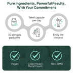 Organics Ocean D3 with K2 Vegan Vitamin D3

