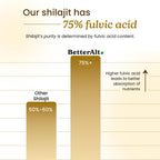 Better Alt Shilajit Himalayan Resin for Energy & Immunity


