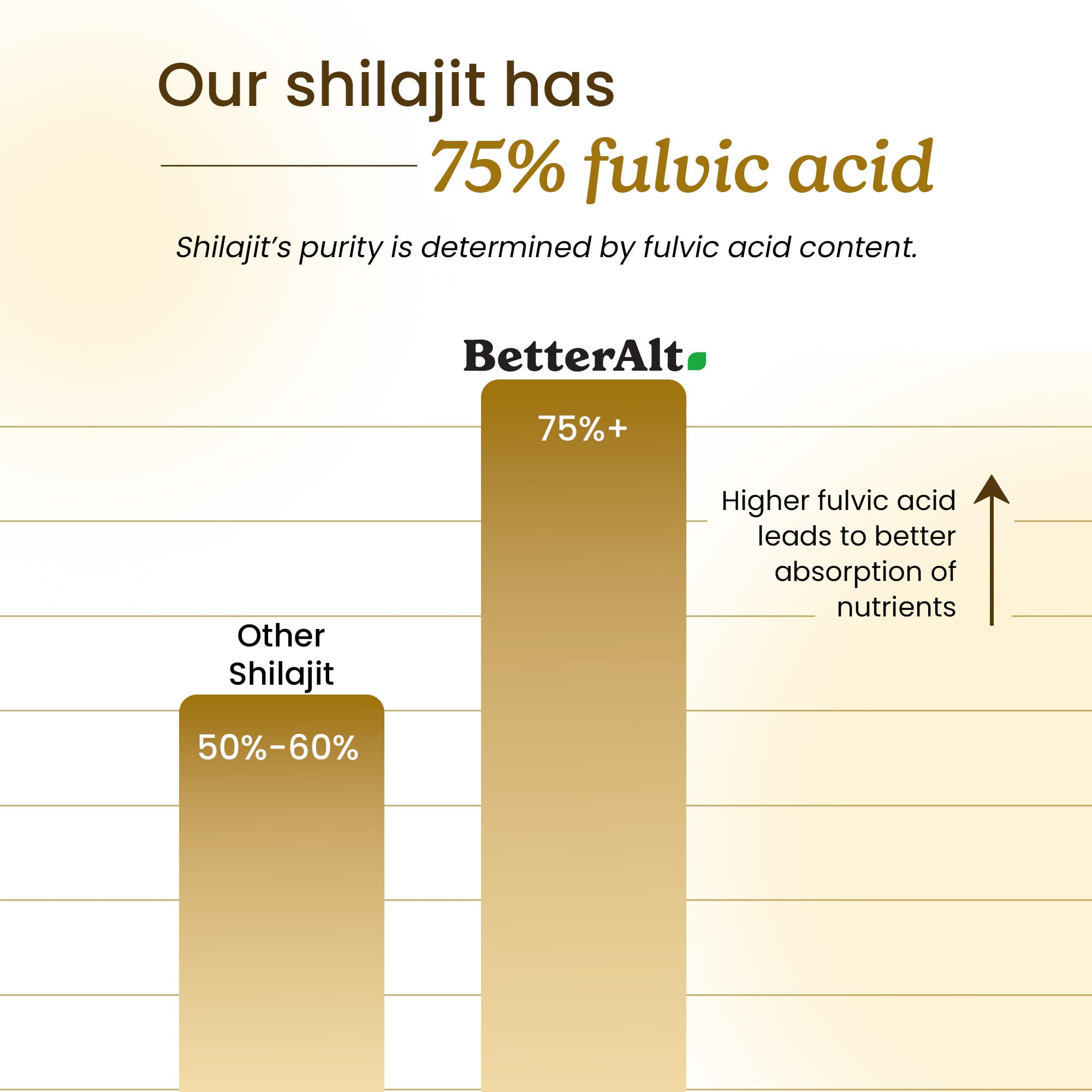 Better Alt Shilajit Himalayan Resin for Energy & Immunity

