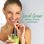 Garden of Life Raw Organic Perfect Food Greens Powder

