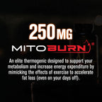 Burn-XT Max Thermogenic Fat Burner | Jacked Factory

