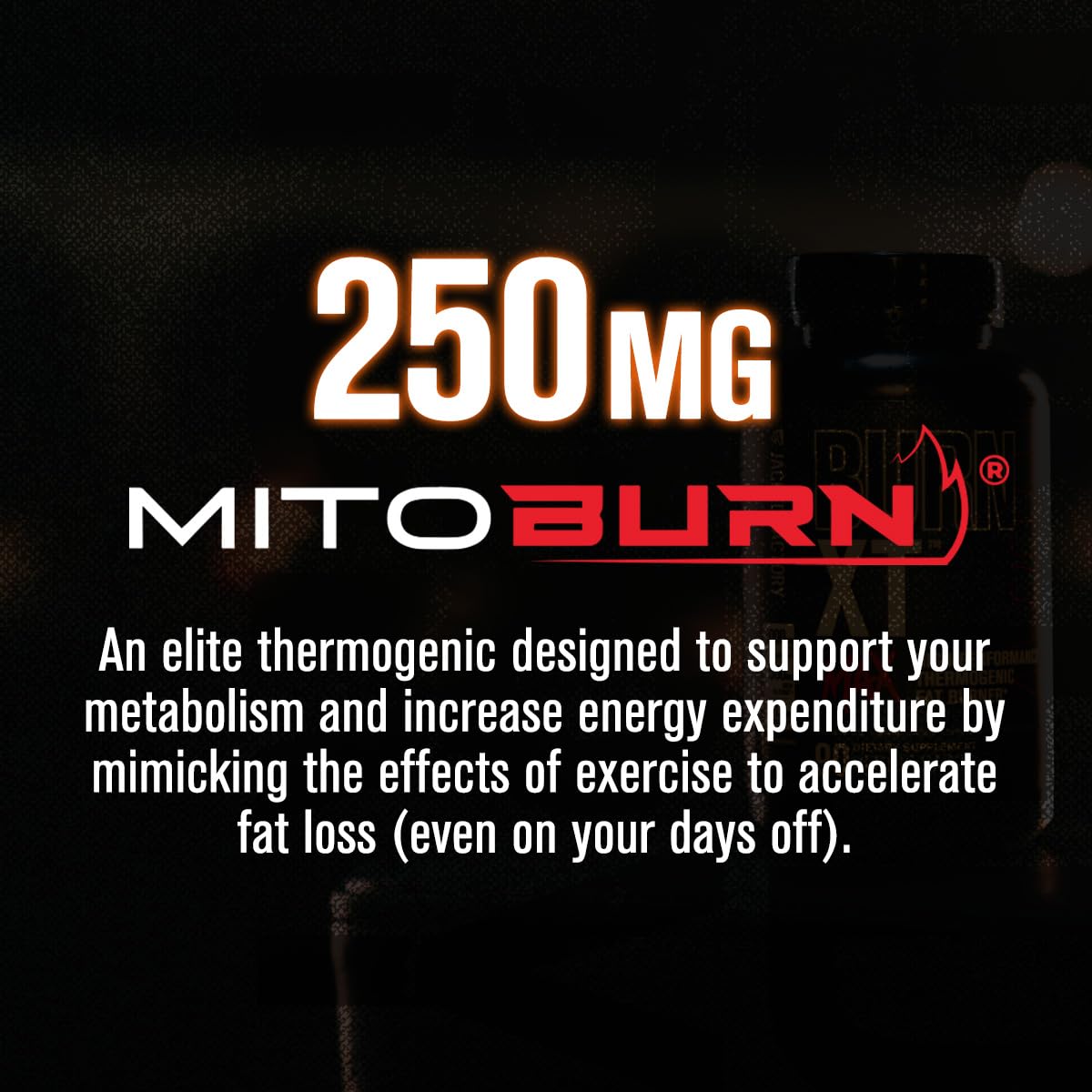 Burn-XT Max Thermogenic Fat Burner | Jacked Factory

