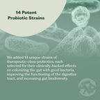 Synbiotic 365 Probiotic Supplement for Digestive Health

