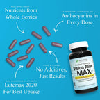 Vision Alive Max Eye Health Supplement Holistic Health Labs

