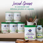 Garden of Life Raw Perfect Food Greens Powder Detoxifier

