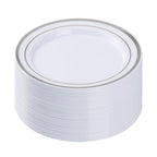BESTVIP 10.25 Inch Disposable Plastic Plates with Rim