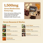 Pella Nutrition Mushroom Coffee with Superfood Mushrooms – Instant

