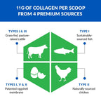 BioTrust Ageless Multi Collagen Peptides Powder

