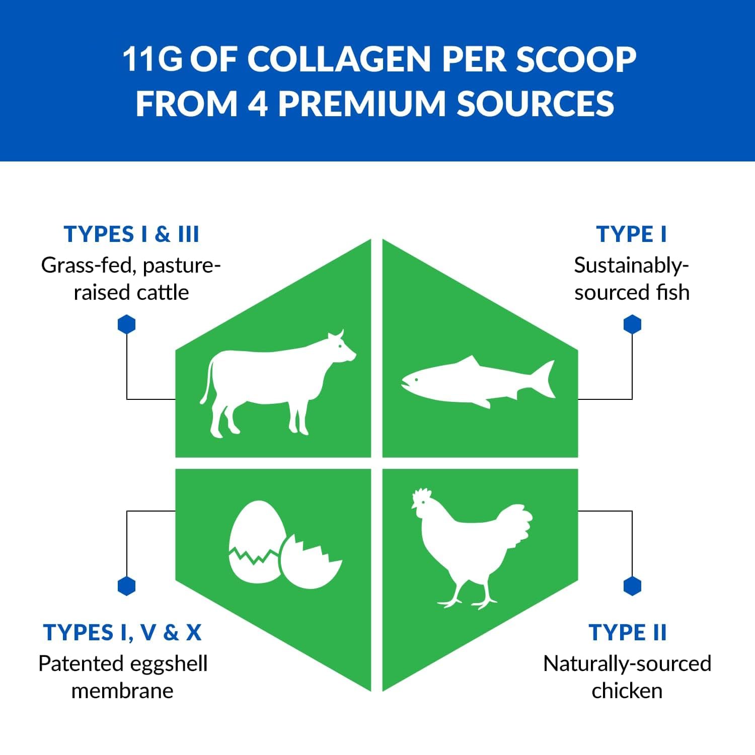 BioTrust Ageless Multi Collagen Peptides Powder

