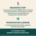 NEURIVA Plus Brain Support NeuroFactor for Memory

