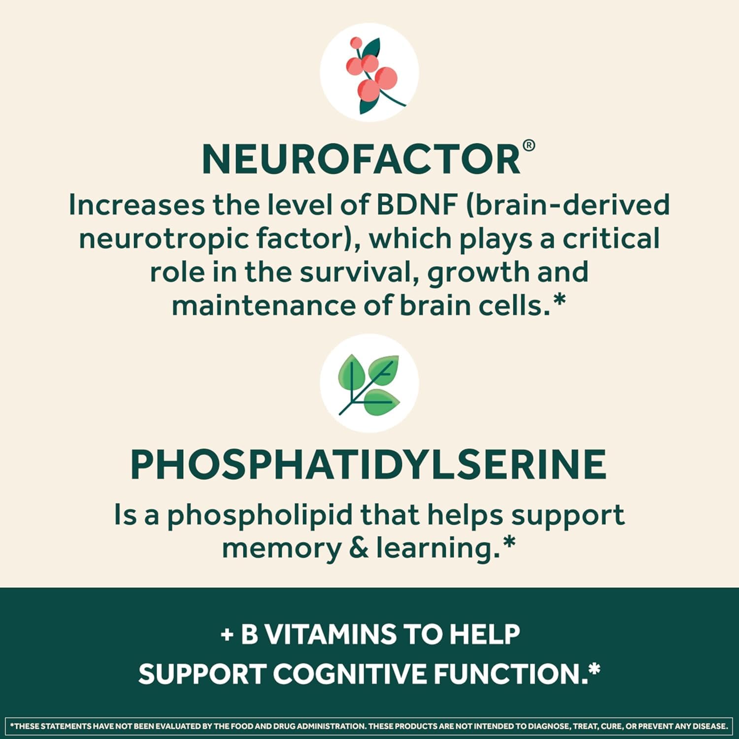 NEURIVA Plus Brain Support NeuroFactor for Memory

