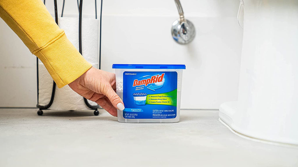 DampRid Disposable Moisture Absorber

