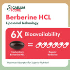 CEALMU CORE Liposomal Berberine HCL 1500mg AMPK Support

