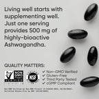 Ashwagandha Softgels with Coconut MCT Oil

