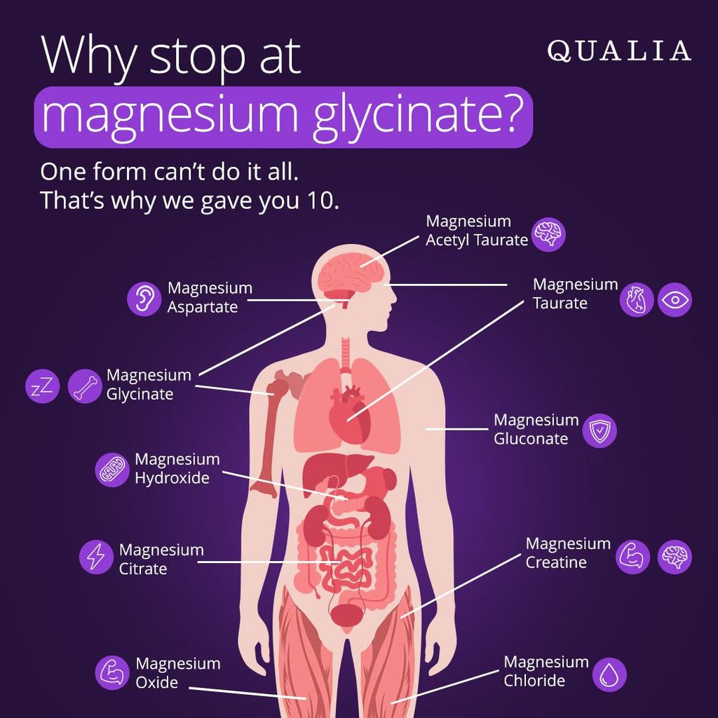 Qualia Magnesium Supplement - Multi-Form Magnesium for Sleep

