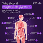 Qualia Magnesium Supplement - Multi-Form Magnesium for Sleep

