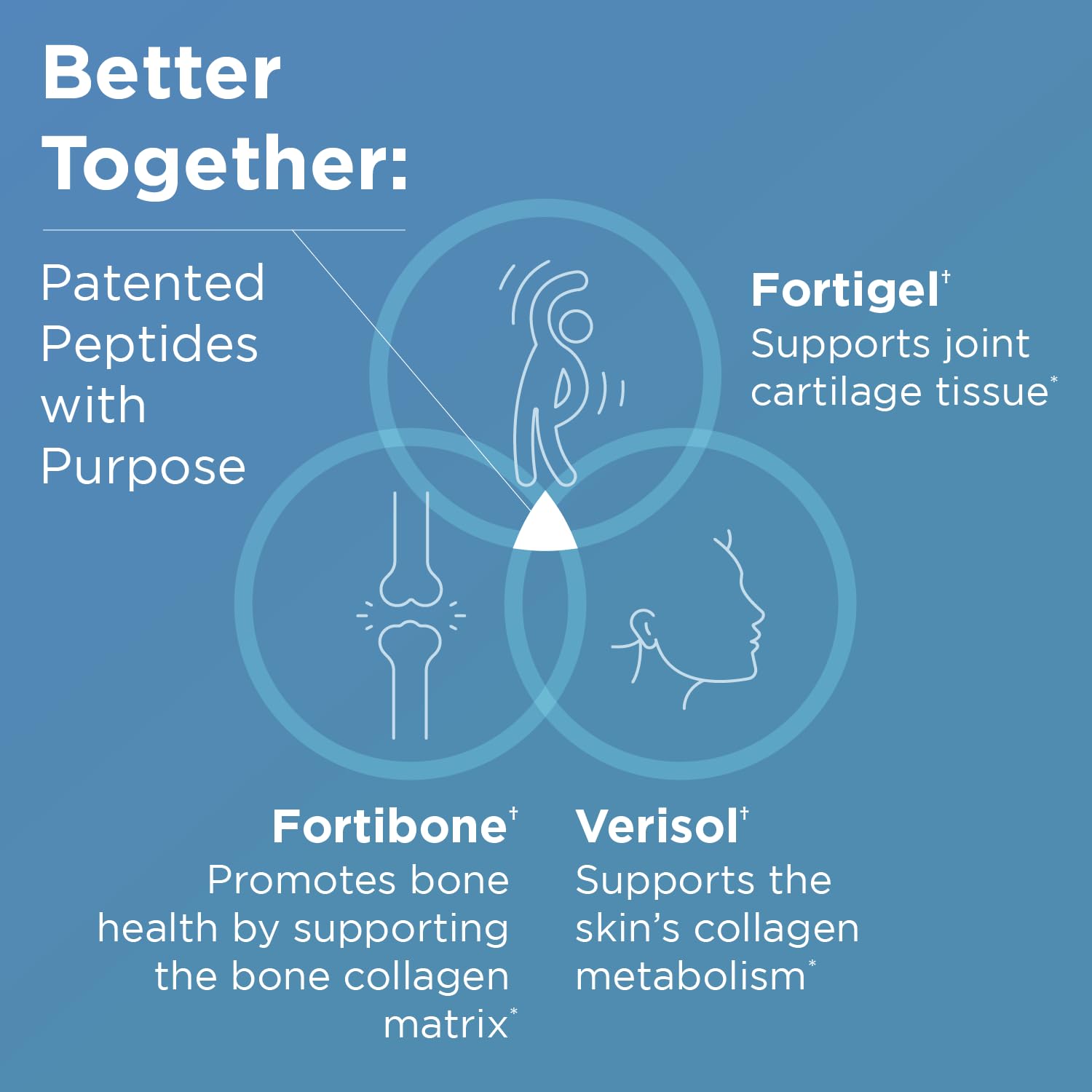 Designs for Health Whole Body Collagen Powder

