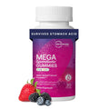 MegaSporeBiotic Spore-Based Probiotics for Gut Health by Microbiome Labs