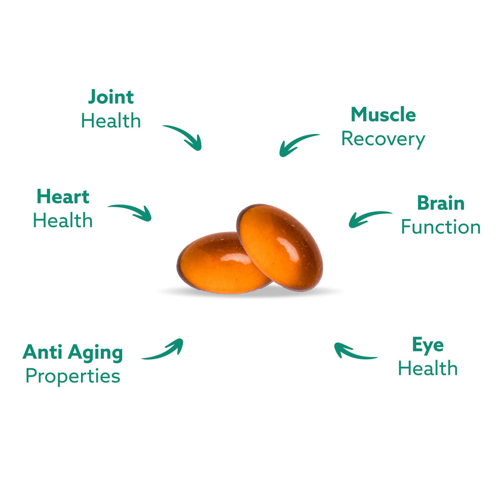 Haka Life GLX3 Green Lipped Mussel Oil Capsules for Joints

