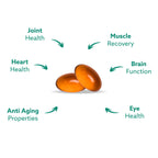 Haka Life GLX3 Green Lipped Mussel Oil Capsules for Joints

