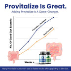 BB Company Probiotic & Prebiotic Digestive Health Bundle

